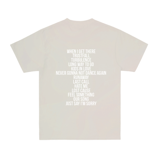 Back view of an ecru short-sleeve regular-fit T-shirt featuring a P!NK Trustfall album tracklist print across the back.